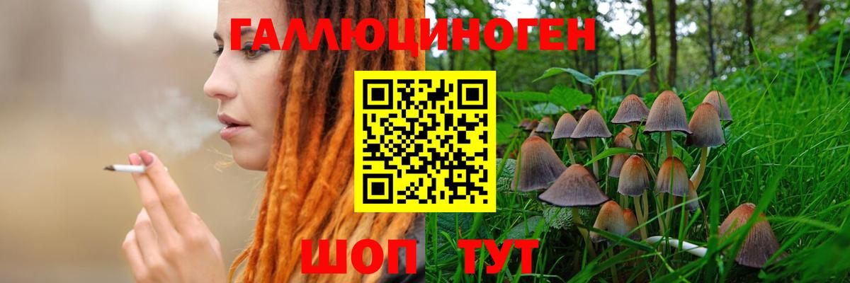 закладка  Вход с VPN  Осинники  Псилоцибиновые грибы Magic Shrooms 